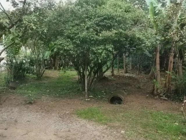 Casa venda em Região Geográfica Imediata de Florianópolis, Palhoça