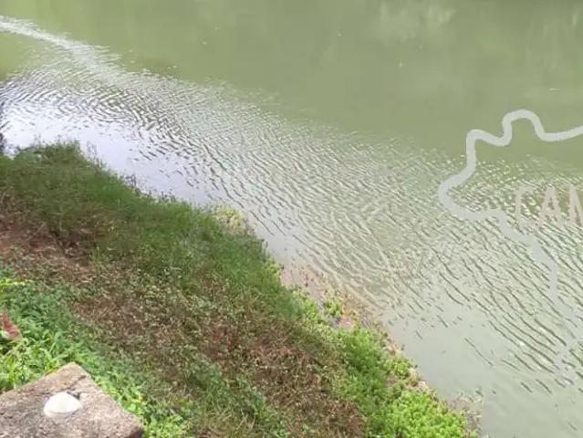 Casa venda em Região Imediata de São José dos Campos, Região Metropolitana do Vale do Paraíba e Litoral Norte