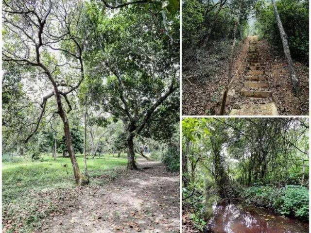 Casa venda em Região Geográfica Imediata do Recife, Paudalho