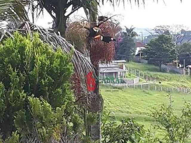 Casa venda em Pinhalzinho