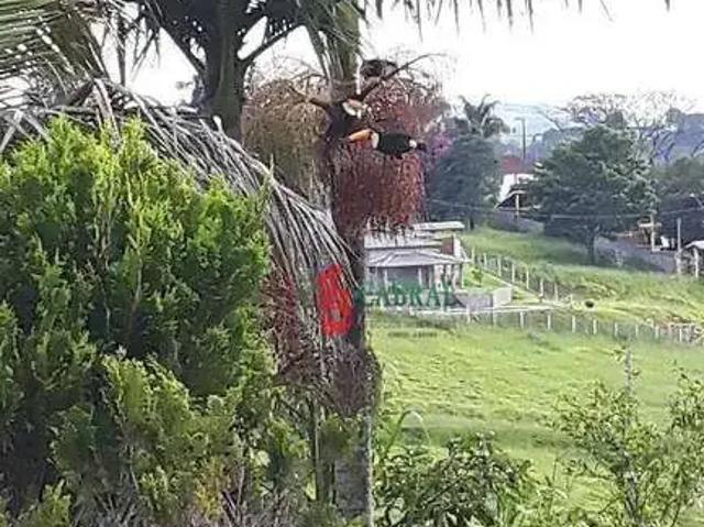 Casa venda em Região Imediata de Bragança Paulista, Pinhalzinho