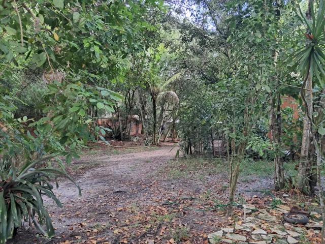 Casa venda em Região Geográfica Imediata de Eunápolis - Porto Seguro, Porto Seguro