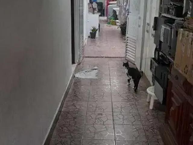 Casa venda em Região Imediata de Santos, Região Metropolitana da Baixada Santista