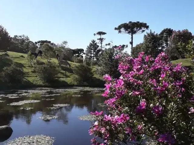 Casa venda em Região Geográfica Imediata de Florianópolis, Pouso Redondo