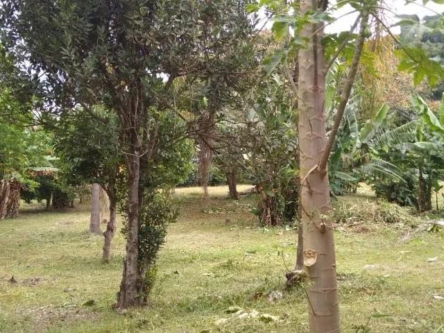 Casa venda em São Bento do Sapucaí, Região Geográfica Intermediária de São José dos Campos