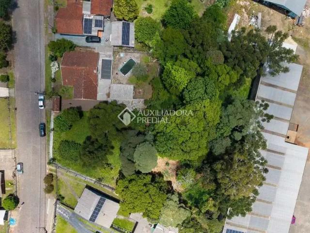 Casa venda em Rincão dos Kroeff, São Francisco de Paula