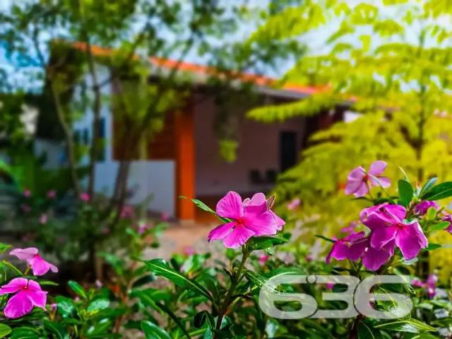 Casa venda em Região Geográfica Imediata de Joinville, São Francisco do Sul