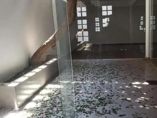 Casa venda em São José do Rio Preto