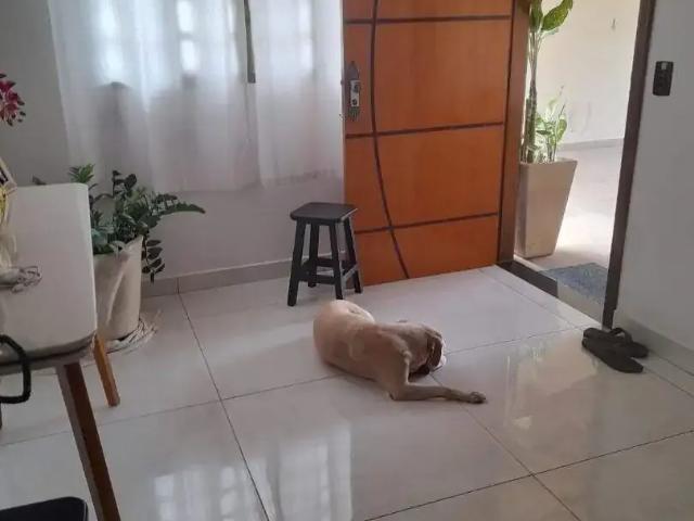 Casa venda em Região Imediata de São José do Rio Preto, Região Metropolitana de São José do Rio Preto