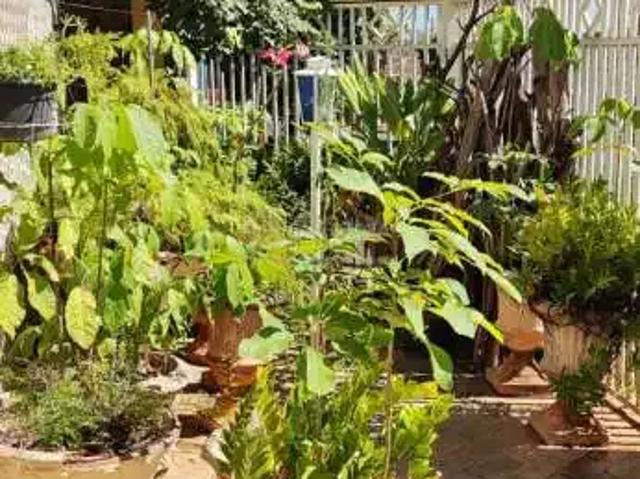 Casa venda em Região Imediata de São José do Rio Preto, Região Metropolitana de São José do Rio Preto