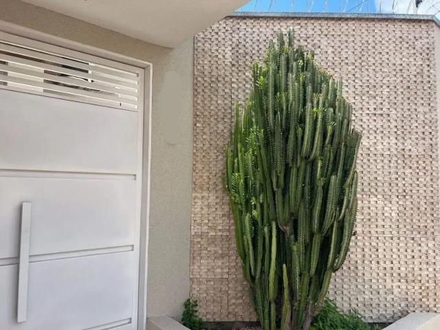 Casa venda em Região Imediata de São José do Rio Preto, Região Metropolitana de São José do Rio Preto