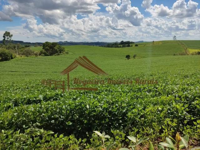 Casa venda em Residencial Alvorada, São Miguel Arcanjo