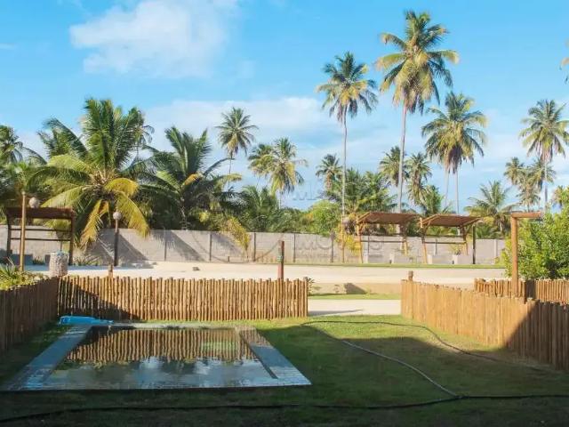 Casa venda em Região Geográfica Imediata de Porto Calvo-São Luís do Quitunde, São Miguel dos Milagres