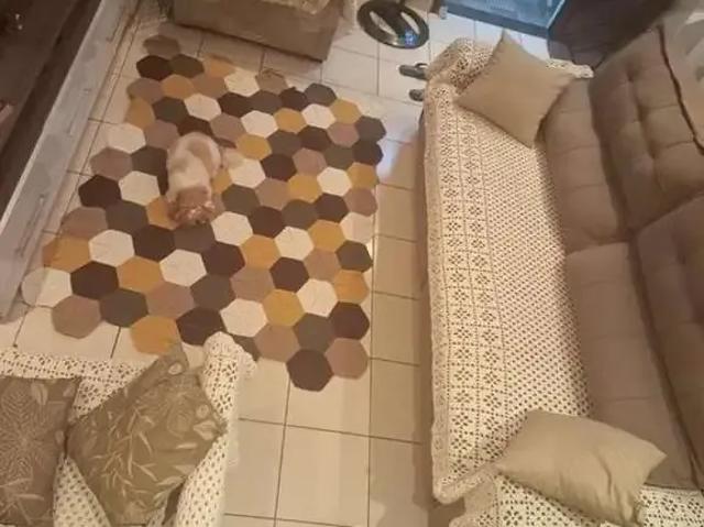 Casa venda em Jardim Peri, São Paulo