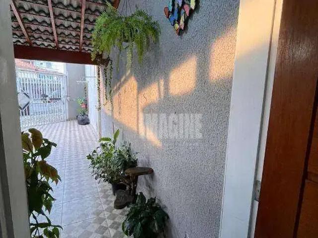 Casa venda em Vila Guilhermina, São Paulo