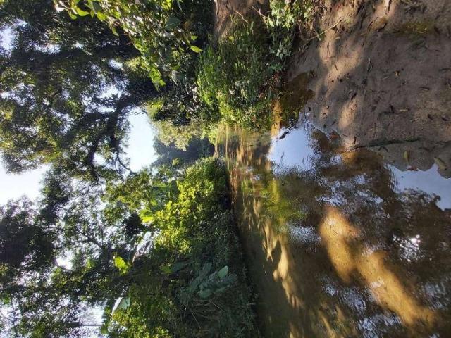 Casa venda em Região Imediata de Caraguatatuba-Ubatuba-São Sebastião, Região Metropolitana do Vale do Paraíba e Litoral Norte