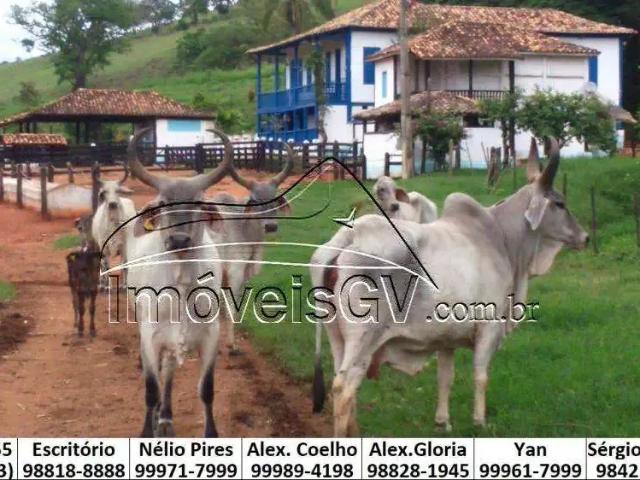 Casa venda em Região Geográfica Imediata de Governador Valadares, Governador Valadares