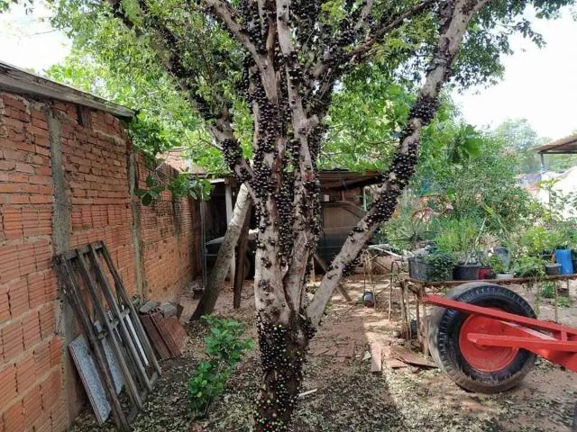 Casa venda em Região Imediata de Piracicaba, Região Metropolitana de Piracicaba