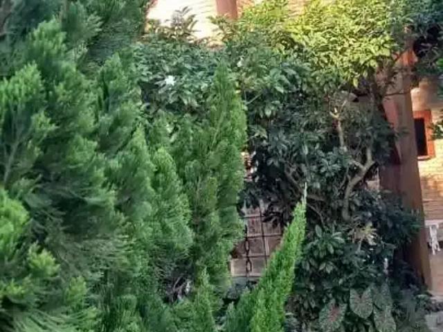 Casa venda em Região Geográfica Imediata de Salvador, Região Metropolitana de Salvador