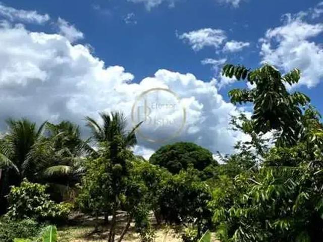 Casa venda em Região Geográfica Imediata de Eunápolis - Porto Seguro, Santa Cruz Cabrália