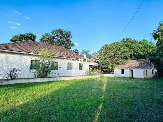 Casa venda em Região Geográfica Imediata de Santa Maria, Santa Maria
