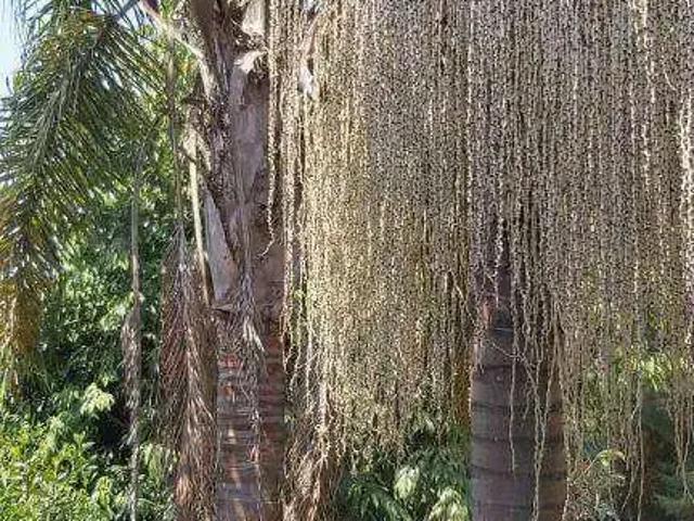 Casa venda em Residencial Santa Helena - Gleba 1, Santana de Parnaíba