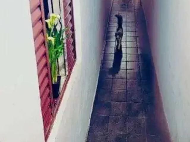 Casa venda em Jardim Roberto, Taboão da Serra