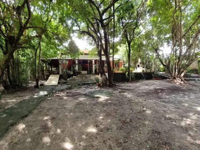 Casa venda em Tibau do Sul