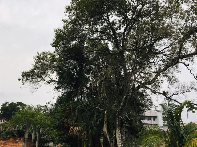 Casa venda em Região Geográfica Imediata de Blumenau, Timbó