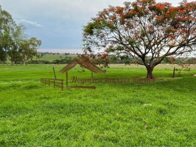 Casa venda em Região Geográfica Imediata de Três Lagoas, Angélica