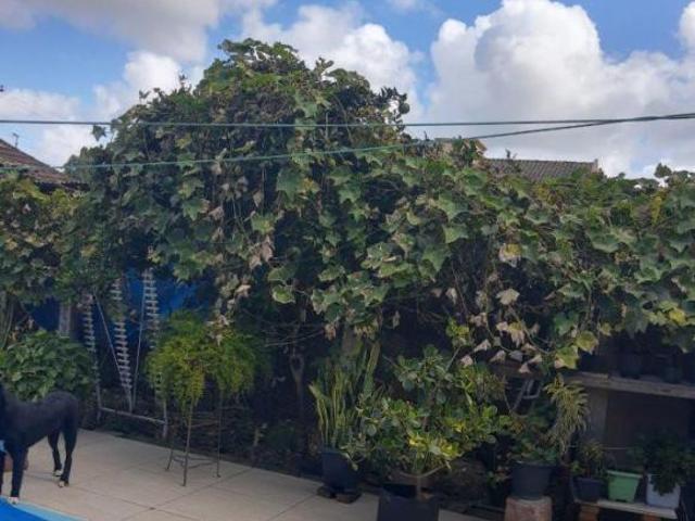 Casa venda em Região Geográfica Imediata de Pelotas, Aglomeração Urbana do Sul