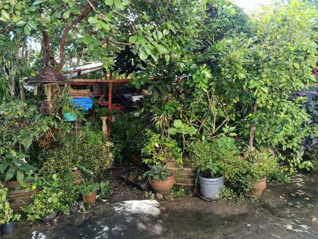Casa venda em Região Imediata de Caraguatatuba-Ubatuba-São Sebastião, Região Metropolitana do Vale do Paraíba e Litoral Norte