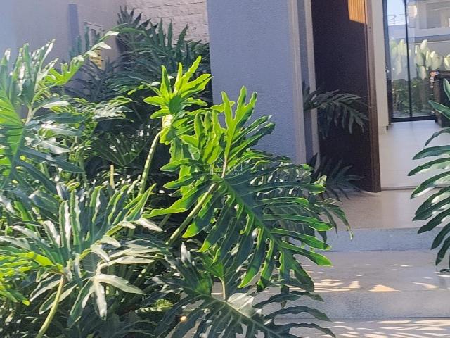 Casa venda em Vila Estado Novo, Uberaba