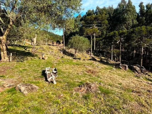 Casa venda em Vacas Gordas, Urubici