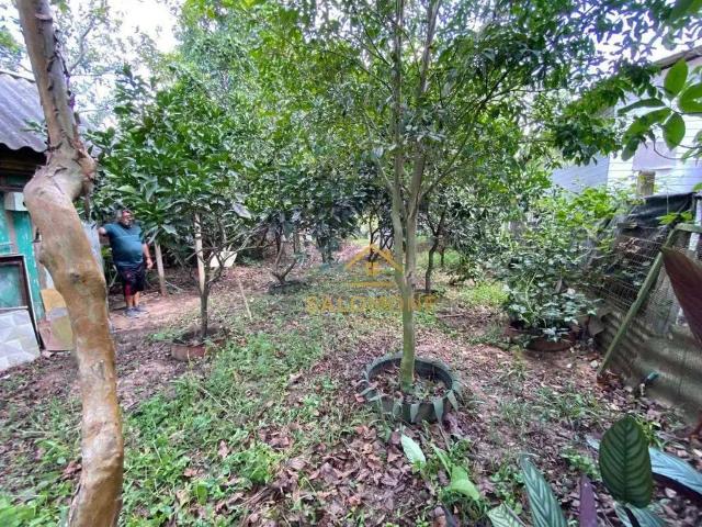 Casa venda em Região Geográfica Imediata do Distrito Federal, Região Integrada de Desenvolvimento do Distrito Federal e Entorno