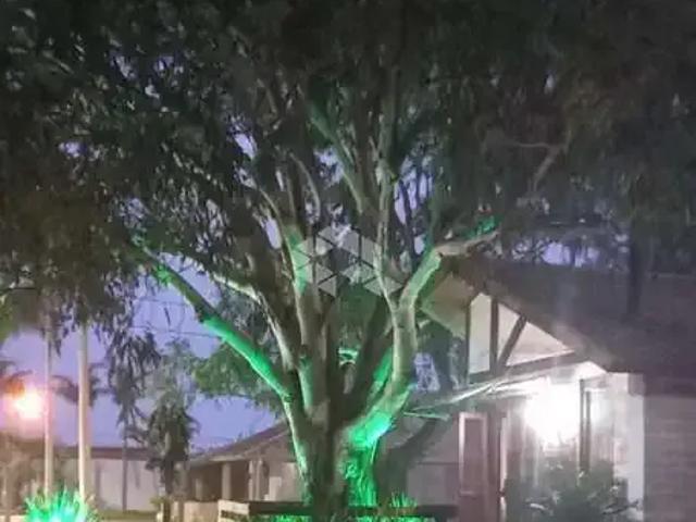 Casa venda em Região Geográfica Imediata de Tramandaí - Osório, Aglomeração Urbana do Litoral Norte