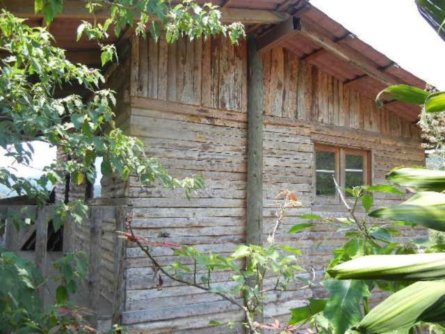 Terreno en renta en Coatepec, Veracruz