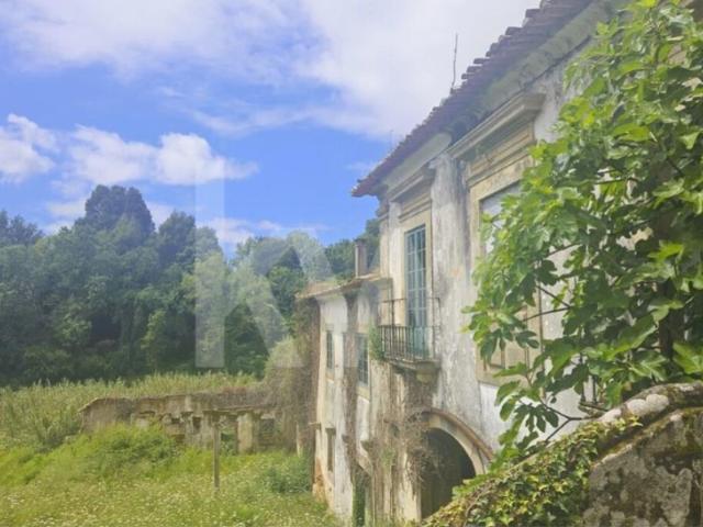 Quinta venda em Oliveira De Azeméis, Aveiro