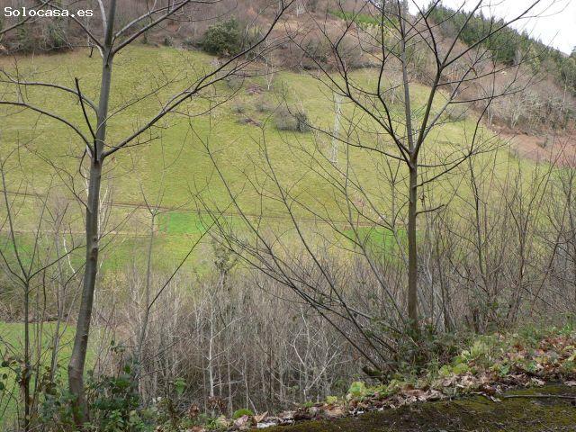 Casa en venta en Allande, Asturias