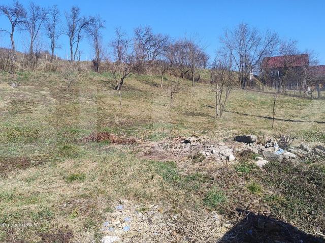 Casă vânzări