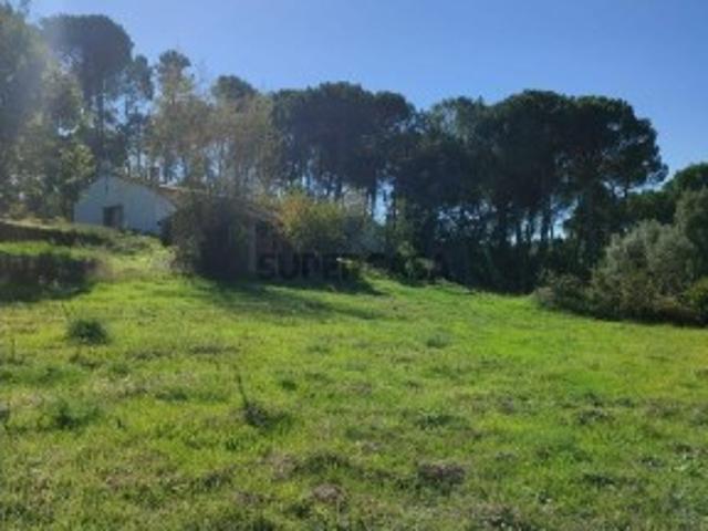 Casa venda em Vila do Mato, Tábua