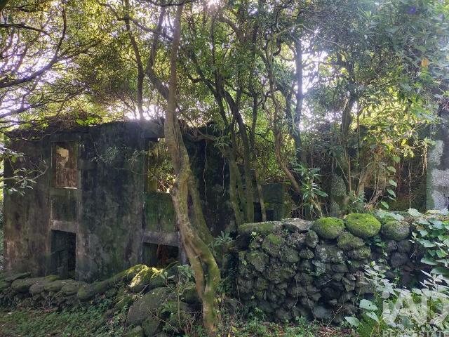 Casa venda em Açores, Madalena