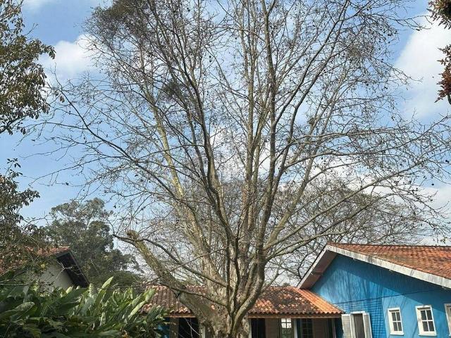 Casa aluguel em Chácara São João, Carapicuíba