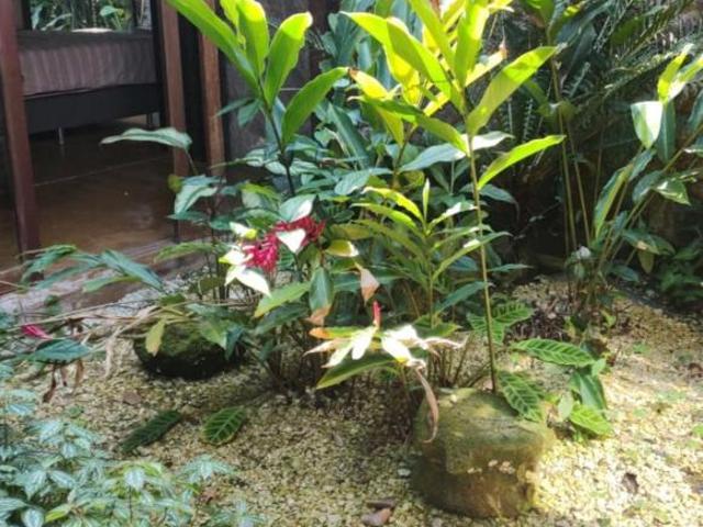 Casa venda em Ubatuba