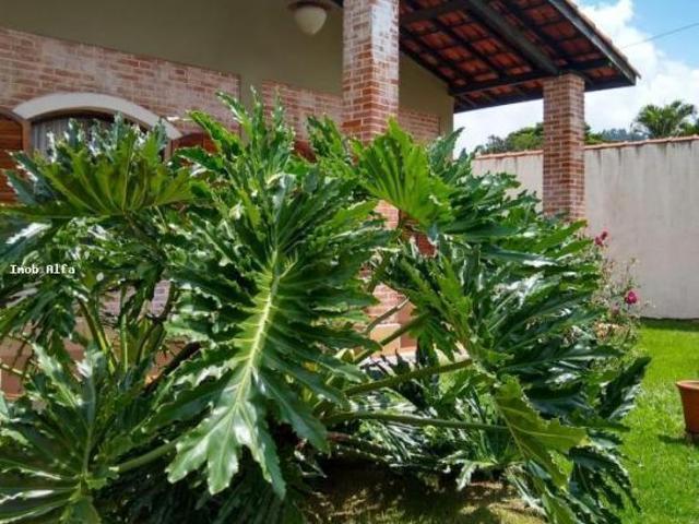 Casa venda em Centro, Pirapora do Bom Jesus