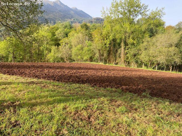 Casa en venta en Colunga, Asturias