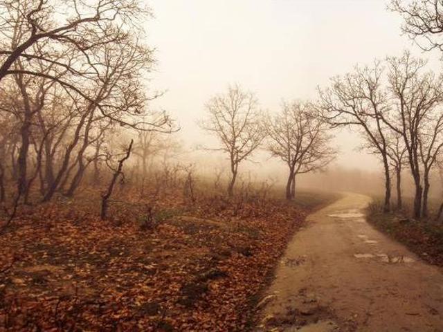 Casa en alquiler en San Bartolomé De Pinares, Castilla y León