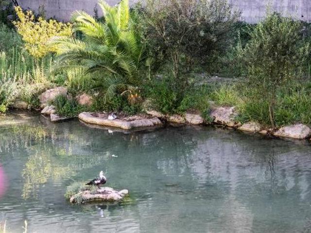Casa en alquiler en La Canal de Navarrés, Valencia