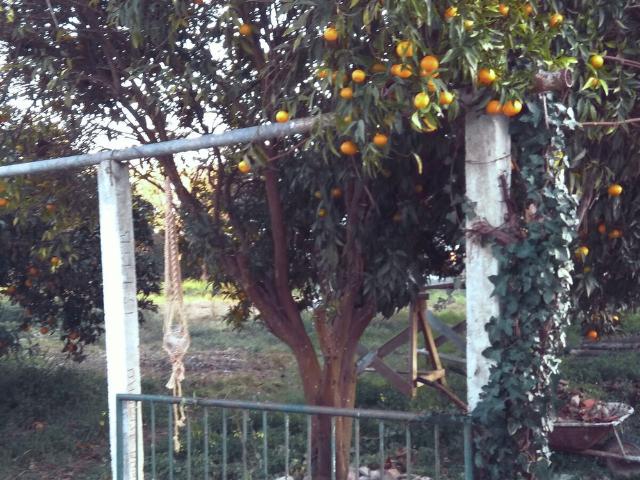 Casa alugar em Rossio do Carvalhal, Bombarral