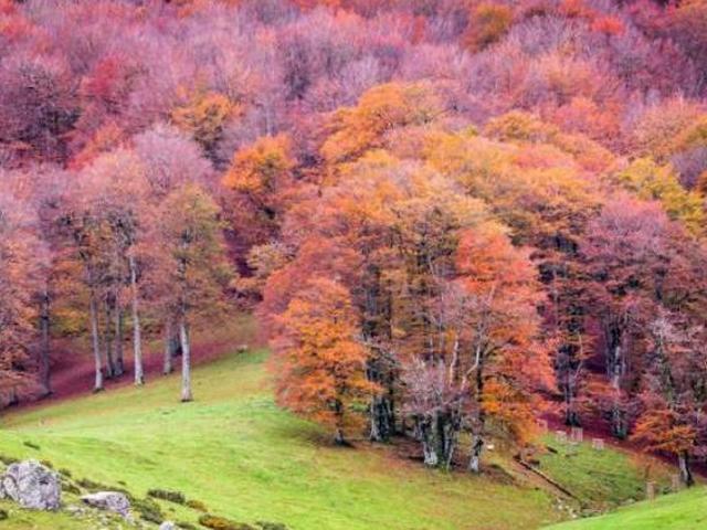 Casa en alquiler en Ochagavía / Otsagabia, Navarra